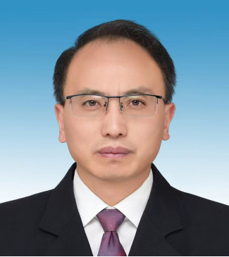 杨金有个人简介